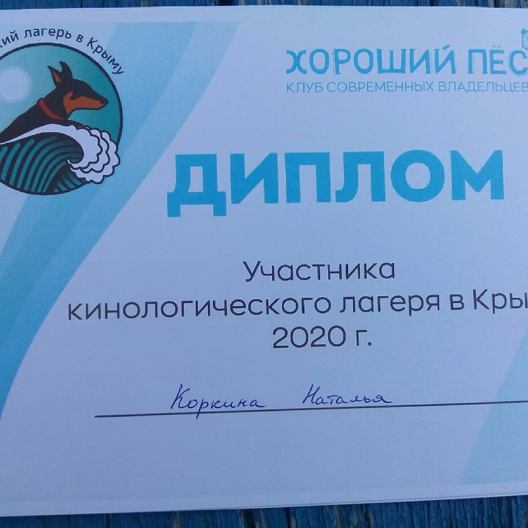 13.09. Закрытие Лагеря, диплом участника Лагеря.jpg